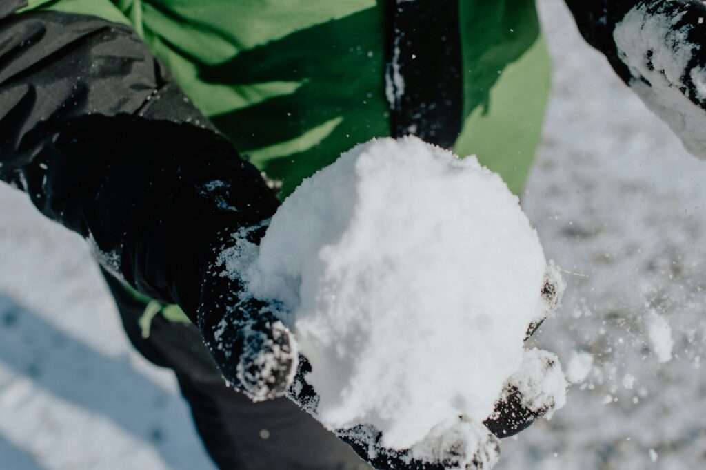 Play in the Snow
